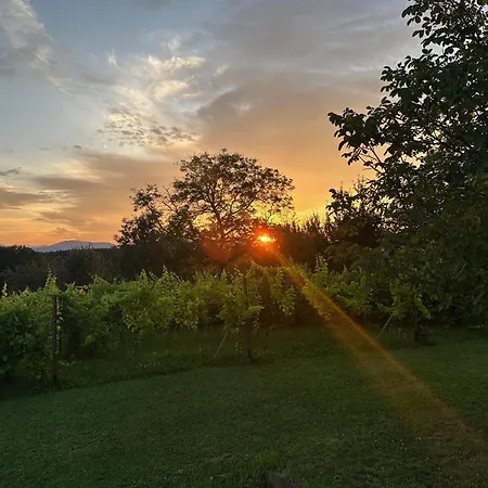 アパート Lind Fruchtreich *