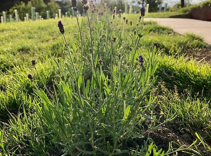 Apartmán Lind Fruchtreich Sebersdorf